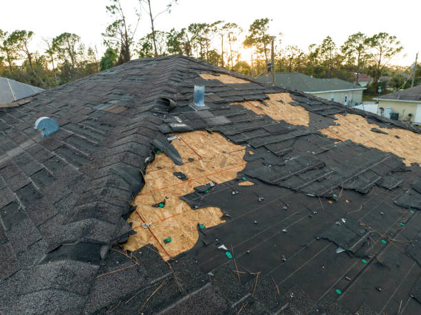 Best Storm Damage Roof Repair  in East End, AR